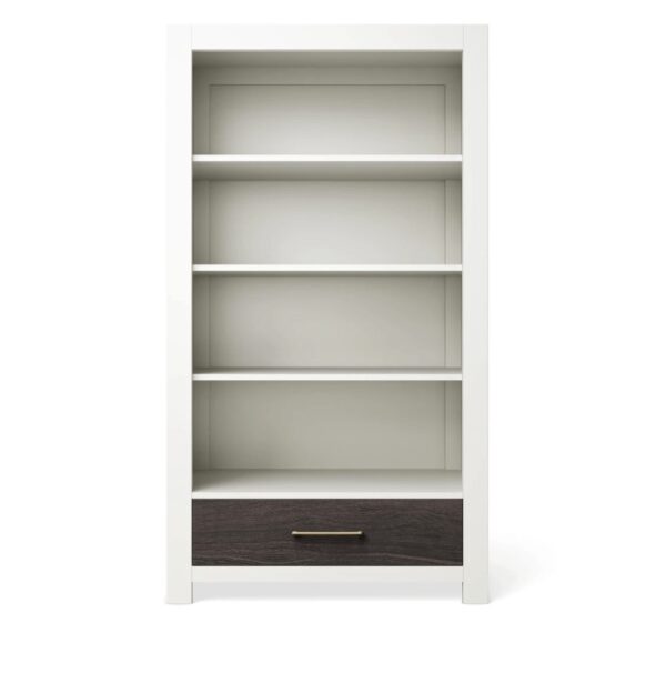 Romina Ventianni Bookcase