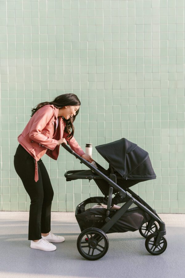 UPPAbaby V2 Vista
